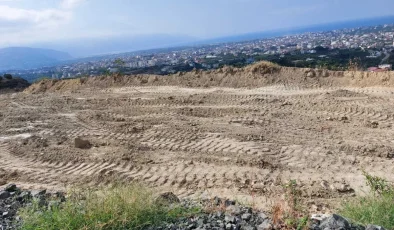 Hatay’da deprem sonrası zeytinlik alanda mezar kazıldı, ağaçlar söküldü